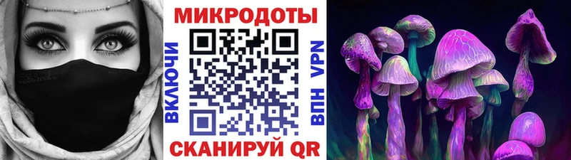 Галлюциногенные грибы GOLDEN TEACHER  Купить где  Киржач 